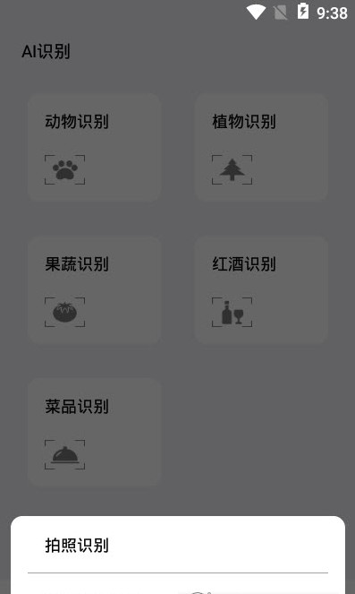 楓葉圖片識別APP最新版截圖4