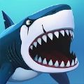 我的鯊魚(yú)秀游戲安卓版（My Shark Show）