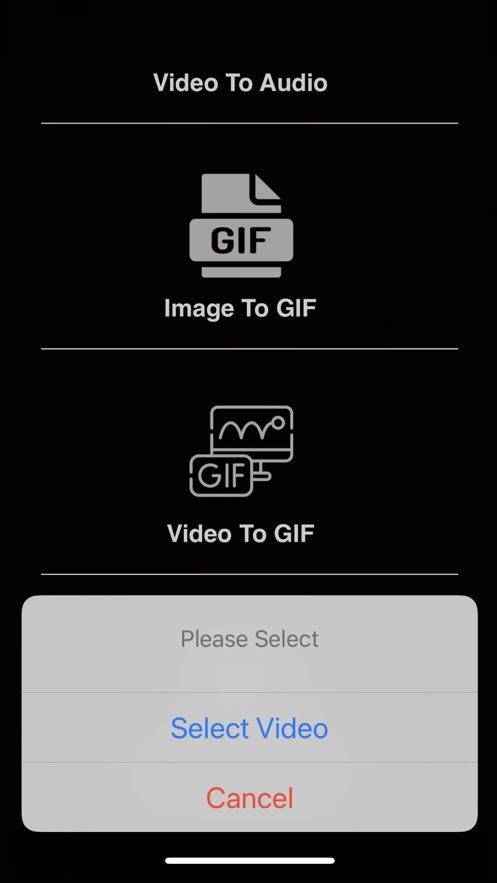 Video Gifs視頻轉(zhuǎn)化app版截圖3