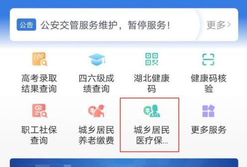 鄂匯辦怎么代繳醫(yī)療保險 代繳看醫(yī)生的醫(yī)療保險方法