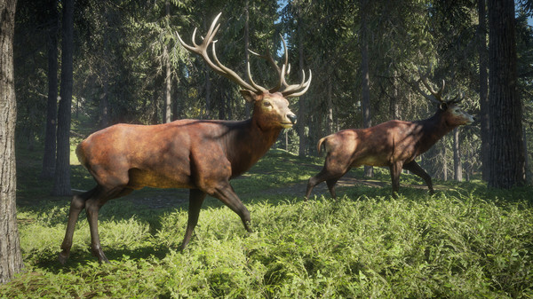 epic獵人荒野的召喚中文手機(jī)版（theHunter: Call of the Wild）截圖2