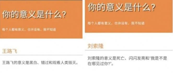 你的意義是什么查詢朋友圈版截圖3