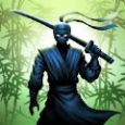 忍者勇士傳奇游戲安卓手機(jī)版(Ninja Warrior)截圖3