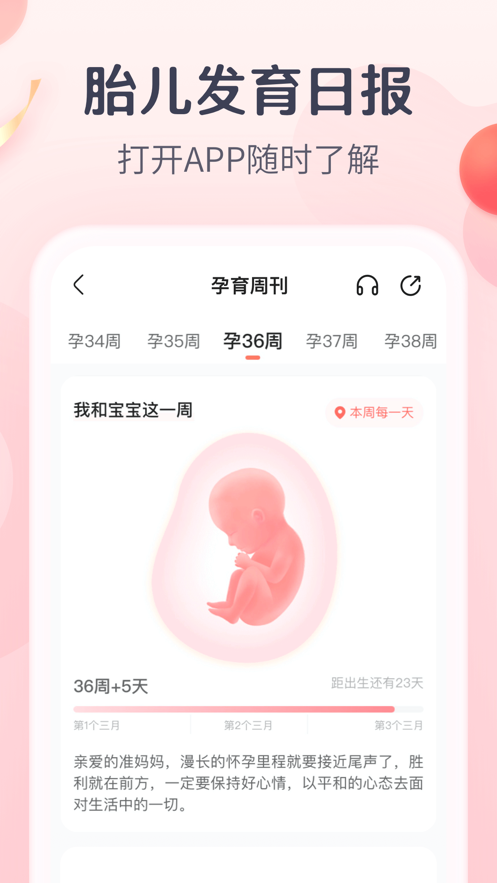 寶寶樹孕育免費下載最新版本截圖1