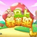馬上養(yǎng)羊駝游戲領(lǐng)紅包福利版
