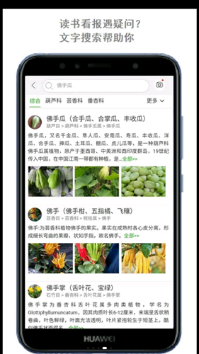 拍照識(shí)花名軟件下載截圖2