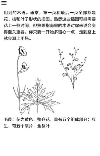 野外植物識(shí)別手冊安卓版app截圖3
