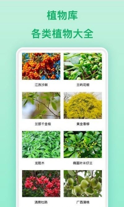 行色識(shí)物app安卓版截圖1