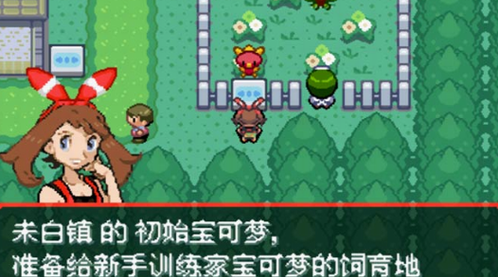 口袋妖怪究極綠寶石5下載安裝手機版截圖3