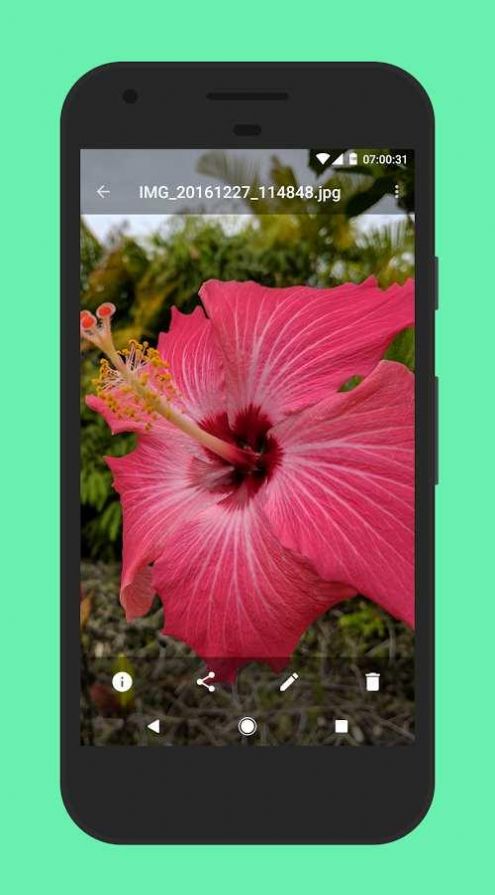 Camera Roll相冊助手app版截圖3
