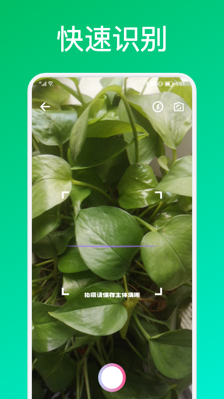 識花君植物識別app手機版截圖5