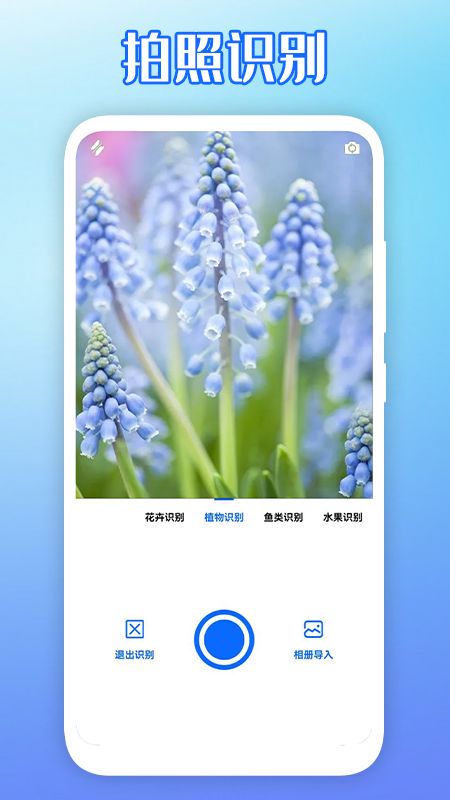 拍圖識(shí)物APP最新版截圖4