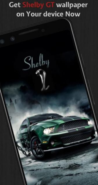 Mustang Wallpapers HD高清壁紙軟件版截圖1