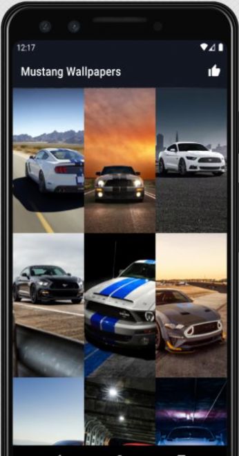 Mustang Wallpapers HD高清壁紙軟件版截圖4