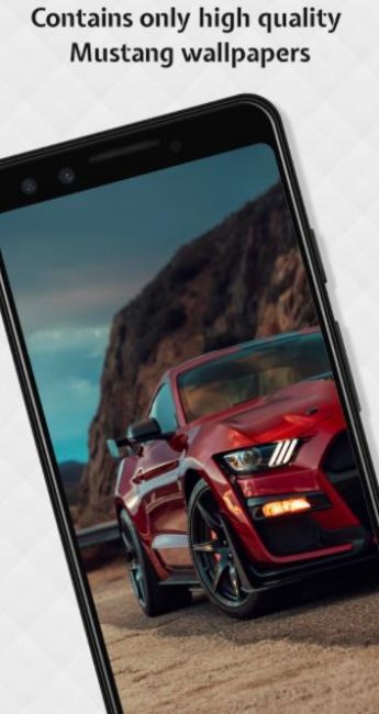 Mustang Wallpapers HD高清壁紙軟件版截圖3