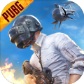 pubg mobile国际服地铁逃生苹果下载安装