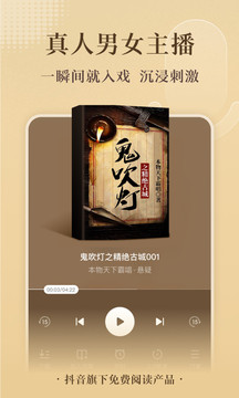 番茄免費(fèi)小說2024最新版免費(fèi)下載安裝截圖3