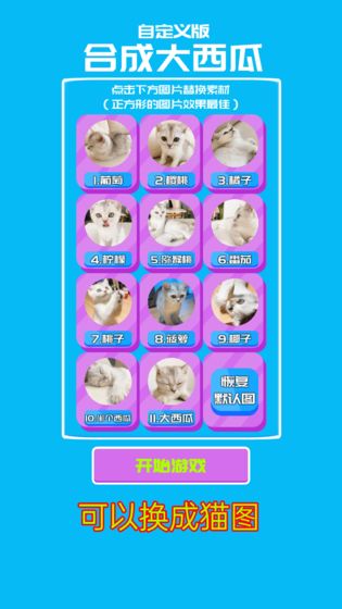 自定義合成大西瓜游戲版截圖4