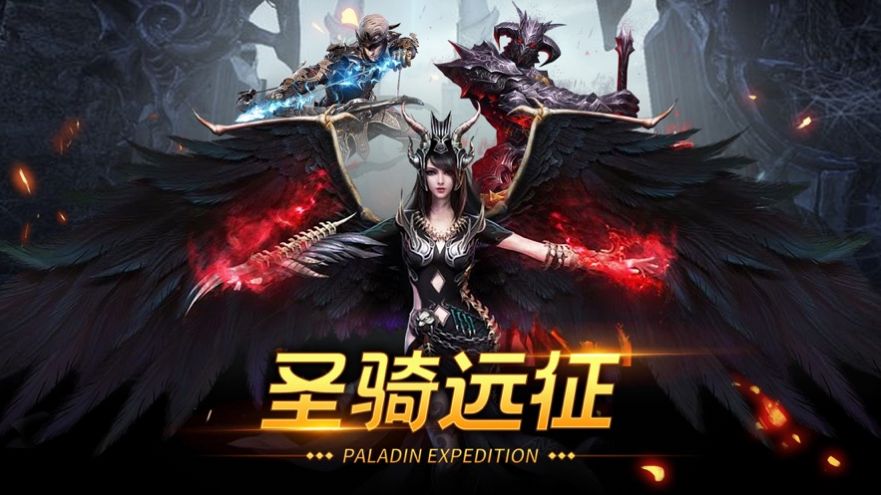 圣騎遠(yuǎn)征手游安卓版截圖1