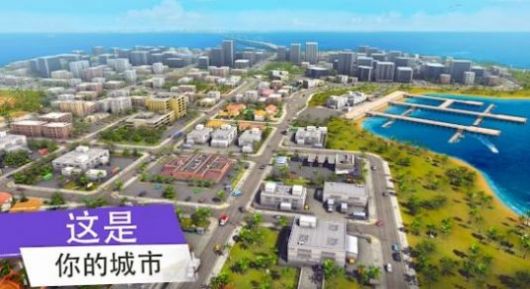 大犯罪大佬最新版無限金條截圖1