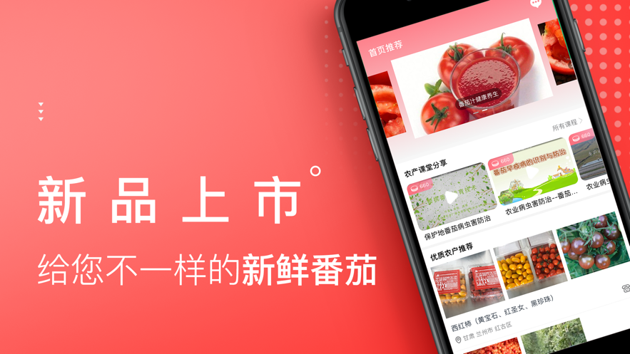 番茄生活社區(qū)App下載安卓版截圖3