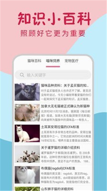 小貓翻譯器免費(fèi)翻譯器App版截圖4