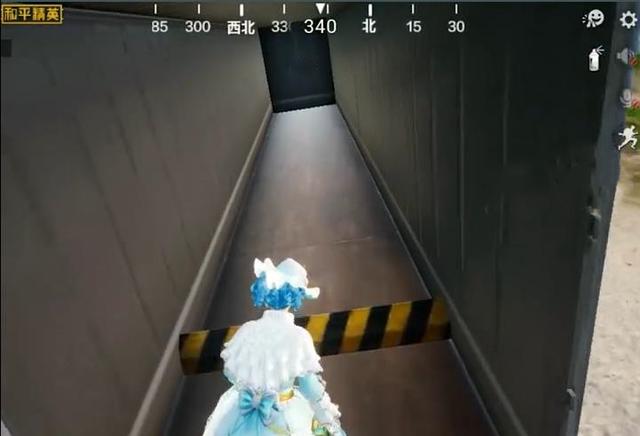 和平精英特斯拉卡車載具皮膚什么時候上線？特斯拉卡車有什么用