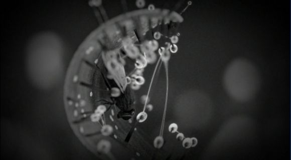 白色情人節(jié)2謊言之花中文手機(jī)完整版截圖2