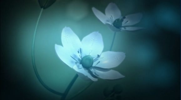 白色情人節(jié)2謊言之花中文手機(jī)完整版截圖3