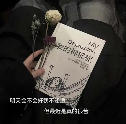 想做個快樂的小廢物 混吃混喝被照顧圖片背景圖下載截圖1