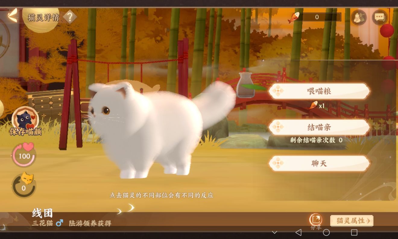 忘川風(fēng)華錄可愛(ài)貓咪捏臉代碼大全：貓咪捏臉數(shù)據(jù)分享