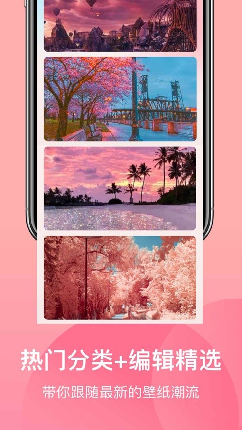 迅鷹動態(tài)壁紙APP最新手機版截圖3
