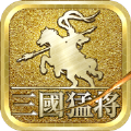 三國之猛將風(fēng)云游戲安卓版