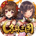 名將三國(guó)之江山美人游戲安卓版