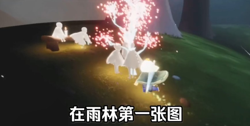光遇雨林賞花在哪？雨林賞花任務(wù)攻略