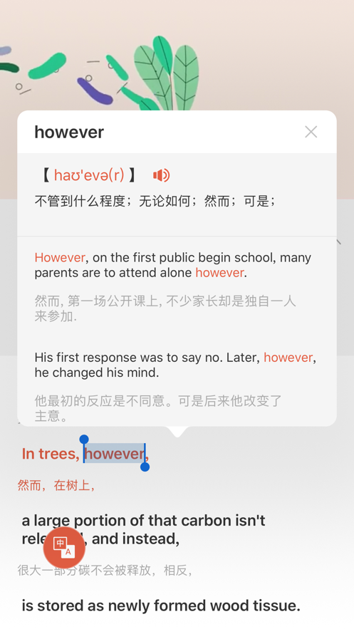 英語演講視頻三分鐘中英雙字幕視頻軟件截圖2