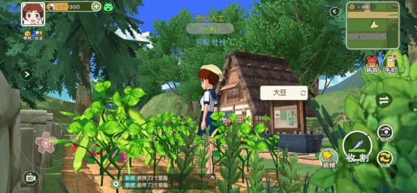 小森生活怎么種地？種地規(guī)劃攻略