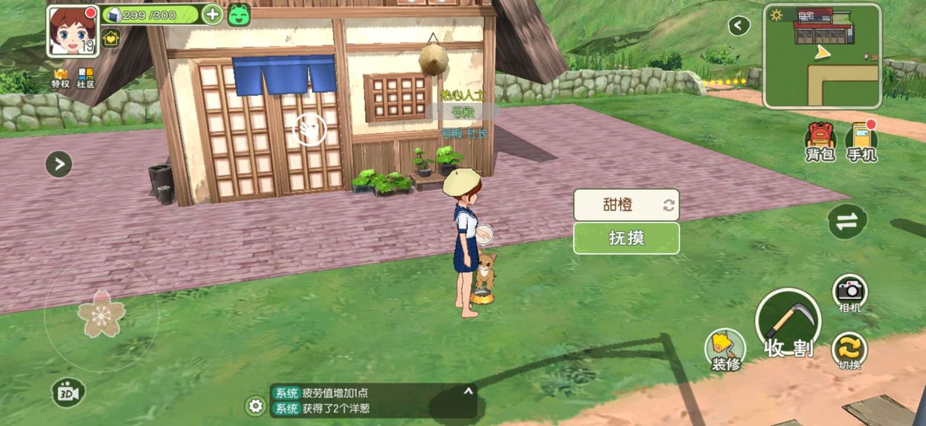 小森生活怎么領(lǐng)養(yǎng)貓咪？家貓咪野貓咪領(lǐng)養(yǎng)攻略