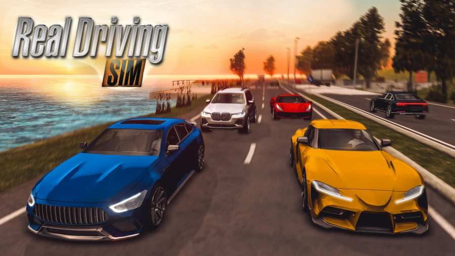 realdrivingsim汽車版蘋果免費金幣版截圖5