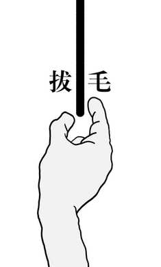 抖音拔條毛安卓版下載截圖4