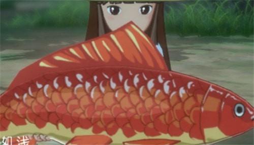 小森生活鯉魚(yú)王有什么用？鯉魚(yú)王任務(wù)攻略