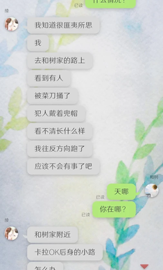 我的女友在被人追趕手機(jī)游戲最新版下載截圖4