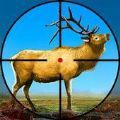 野鹿獵殺之旅游戲安卓最新版
