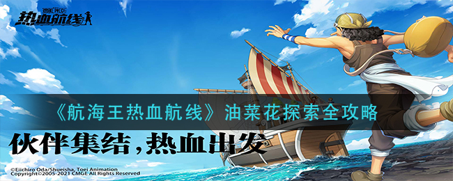 航海王熱血航線油菜花攻略大全：油菜花的寶藏探索任務(wù)流程