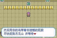 Pokemon Rocket Edition漢化金手指最新版截圖2