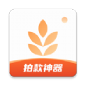 我拍衣APP版
