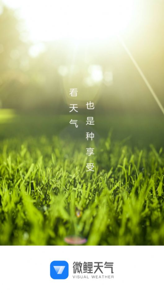 微鯉天氣APP最新版截圖2