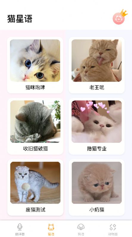 猫语翻译大师app安卓下载安装截图1: