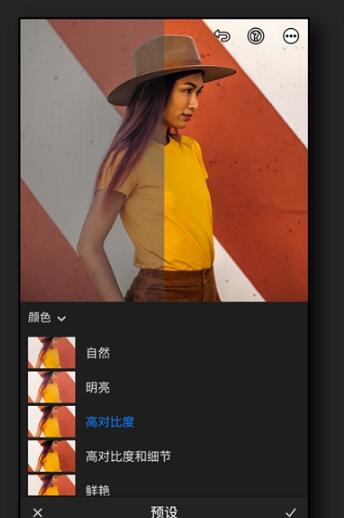 Preset Premium濾鏡App安卓版下載截圖1