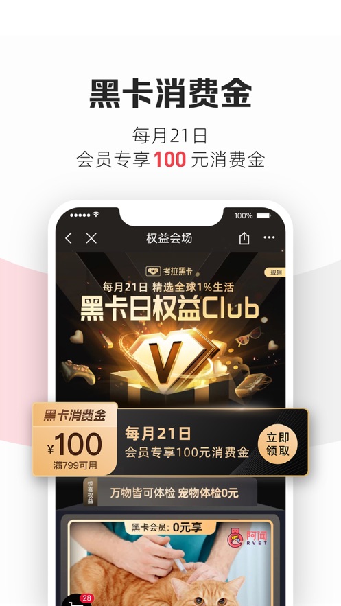 考拉海購首頁APP軟件手機版截圖3